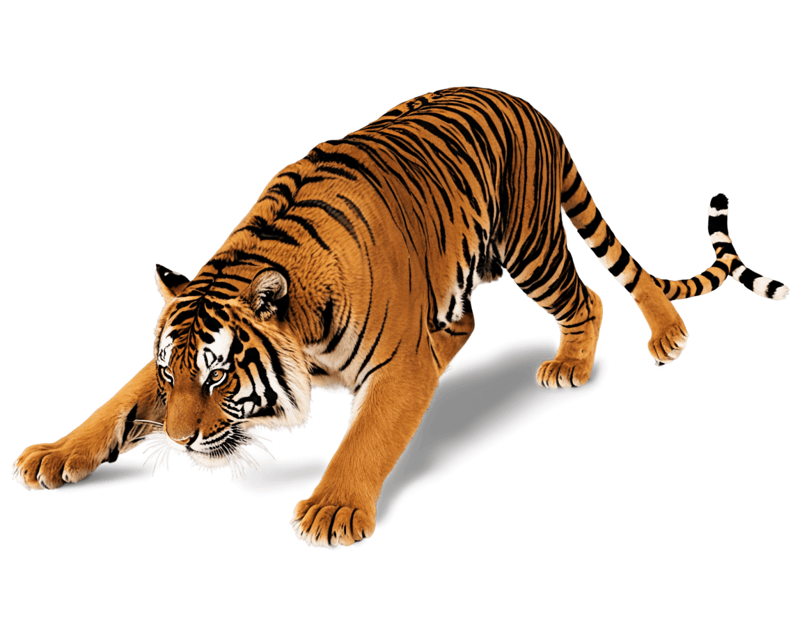 tiger,tiger_beast,pathtracing,half tiger