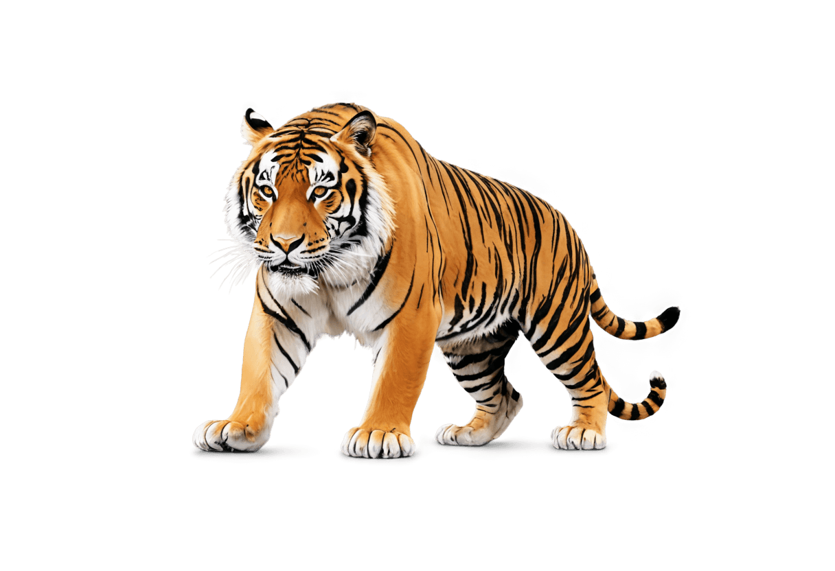 tiger,alladin tiger png,tiger_beast,squirrel/tiger,anthropomorphic tiger,highly detailed animal