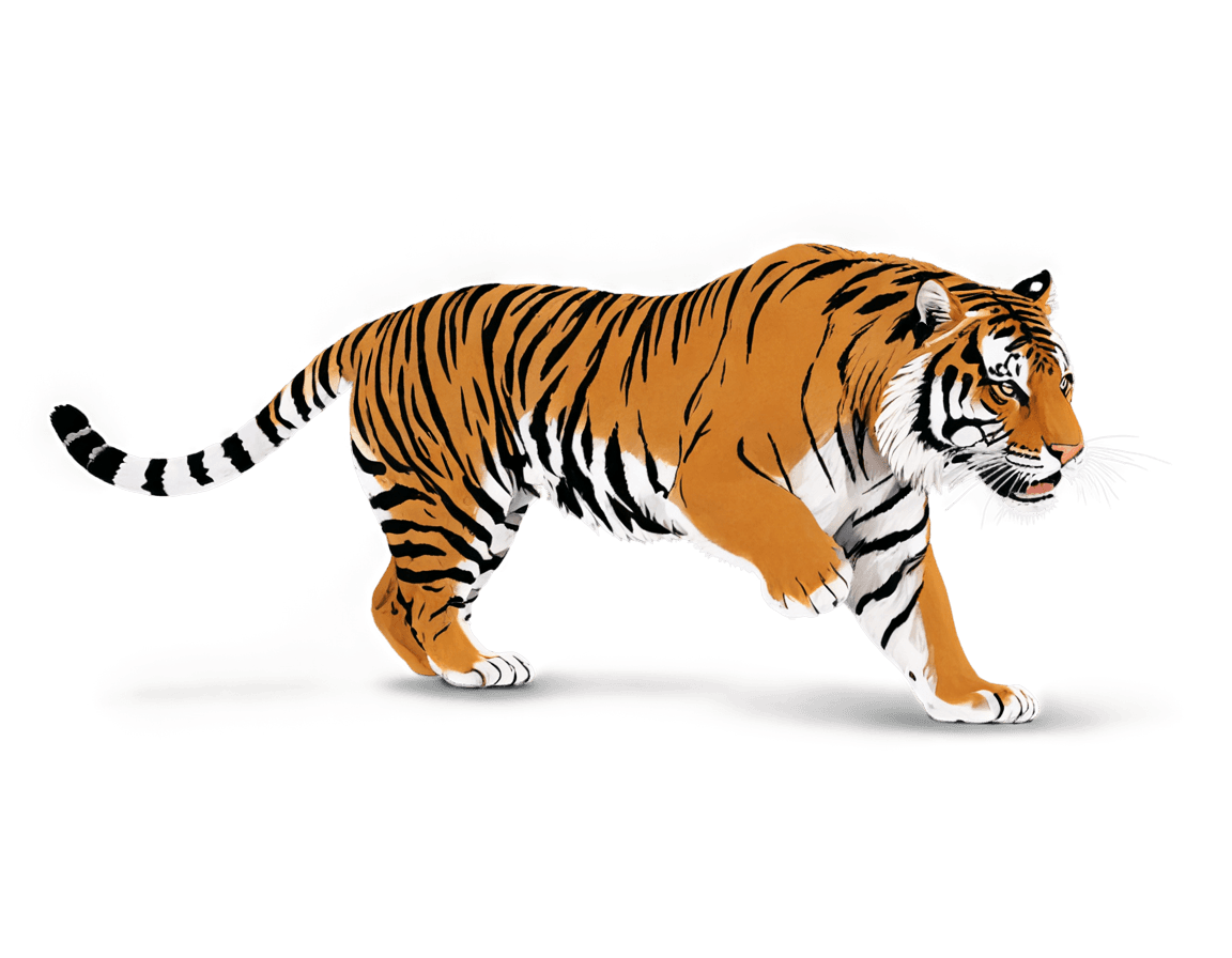 tiger,auburn ran over tiger png vector,((tiger)),light tracing,a tiger,soft image shading