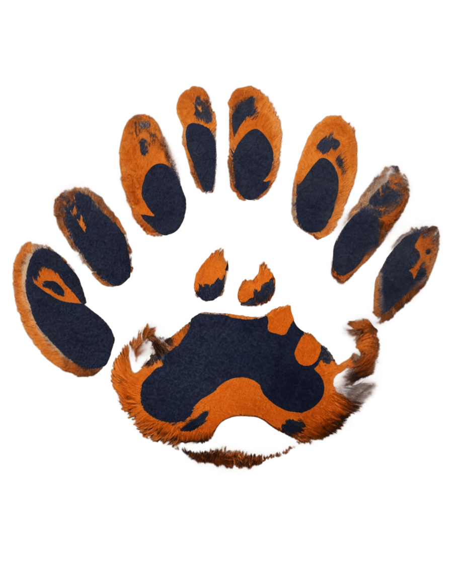 tiger,auburn tiger paw png,furry paw art,paw pads,furry paws,furry digital art