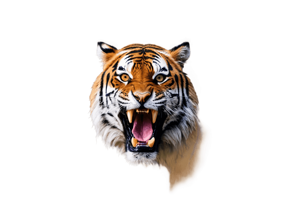 tiger,((tiger)),a tiger,tiger face,half tiger,anthropomorphic tiger