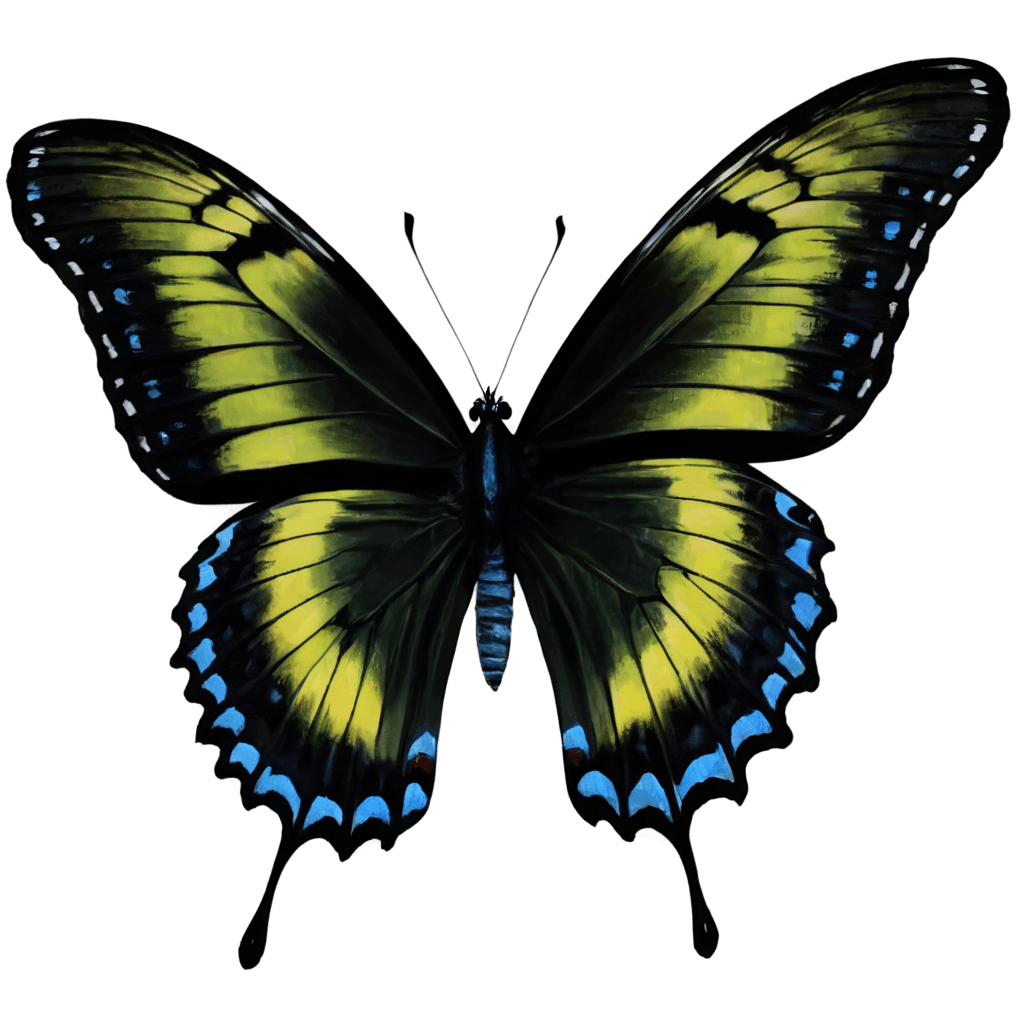 beautiful butterfly png A black and yellow butterfly with blue and yellow spots