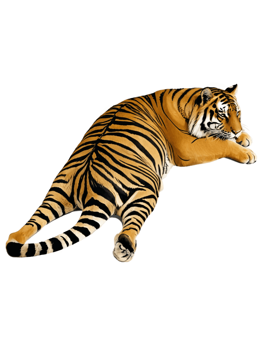 tiger,((tiger)),squirrel/tiger,soft image shading,realistic brown fur,tigerman