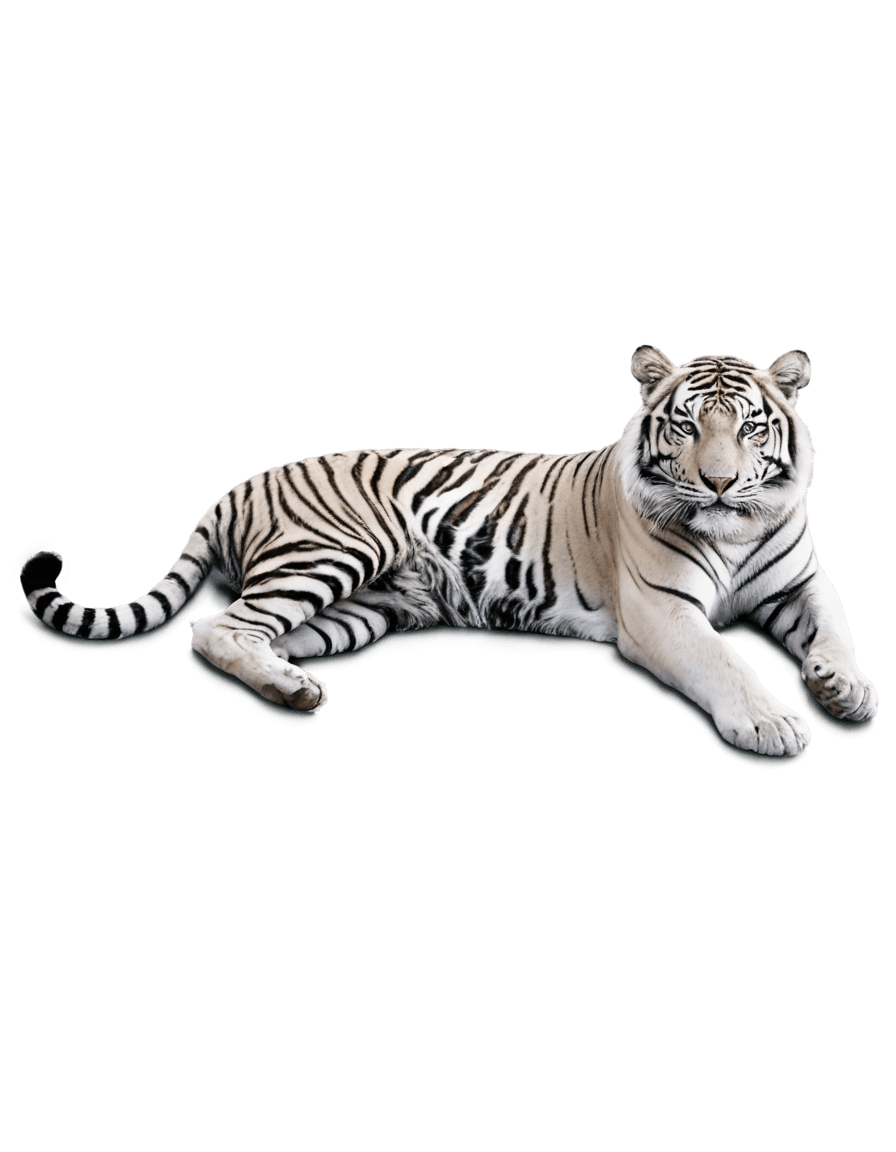 tiger,depth map,caustics effects,photographic render,rey tracing,ambient occlusion