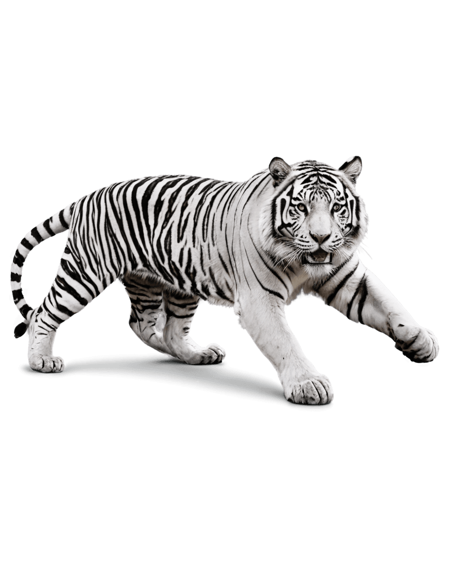 tiger,ambient occlusion,soft image shading,ultra ambient occlusion