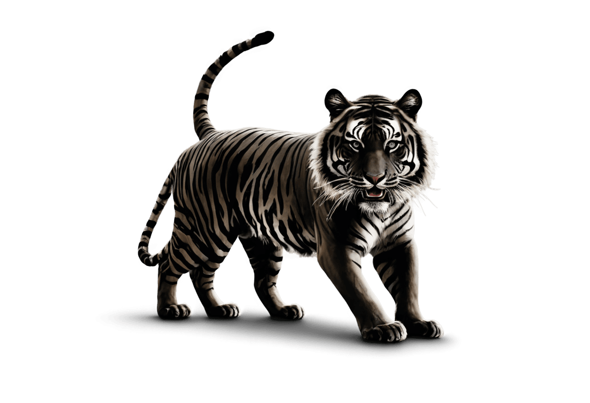 tigre, logotipo de tigre negro png, ((tigre)), tiger_beast, un tigre, tigre sagrado