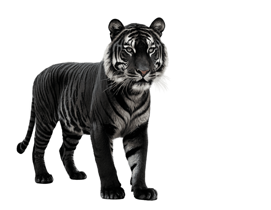 tiger,((tiger)),tiger_beast,tiger stripes,cosmic tiger,diffuse subsurface scattering