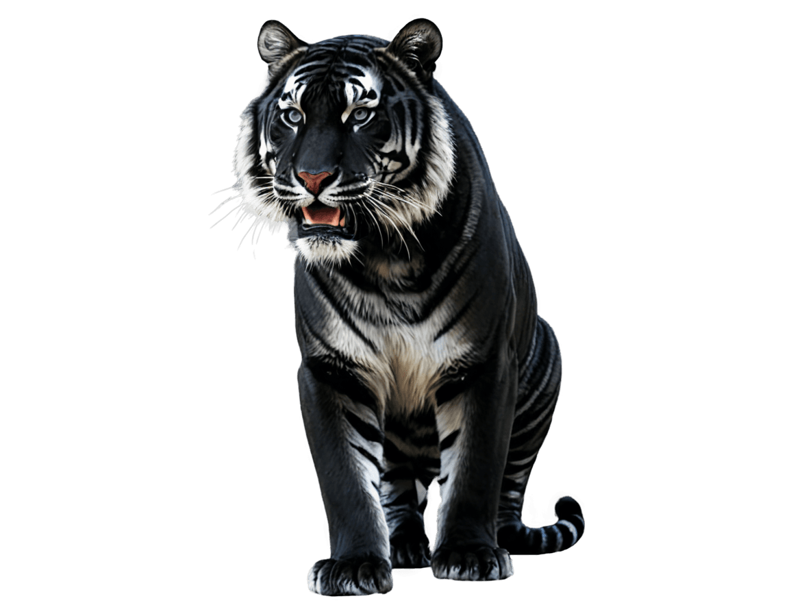 Tigre, Tigre Negro PNG HD, Tigre Blanco, Tigre Cósmico, Autodesk Maya, Lightwave 3D