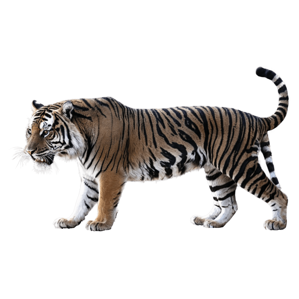 tigre,tigre negro png,((tigre)),autodesk maya,tendencias en artbreeder,tigerman