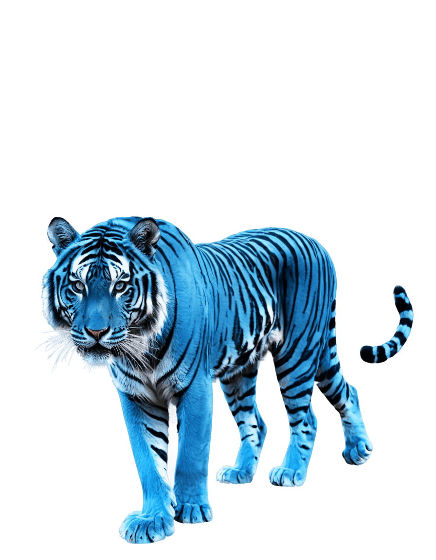 tiger,blue tiger png,blue image,((tiger)),sacred tiger,royal-blue