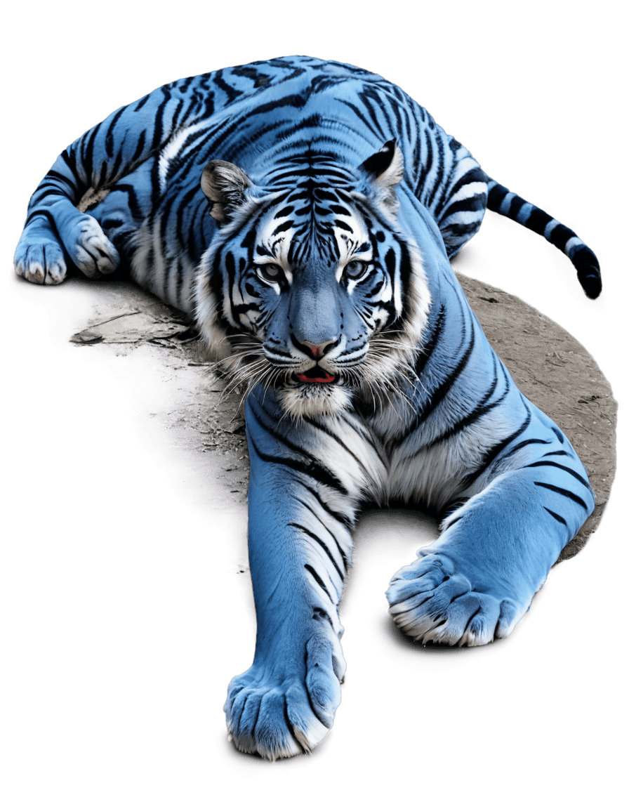 tiger,blue tiger resting png,blue image,((tiger)),the blue panther,royal-blue