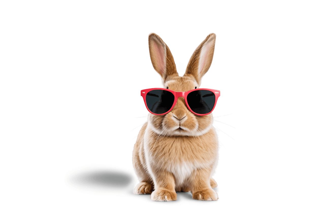 gafas de sol, gafas de sol de conejito png, rabbit_bunny, conejo, estilo playboy, con gafas de sol con gafas de sol de espejo