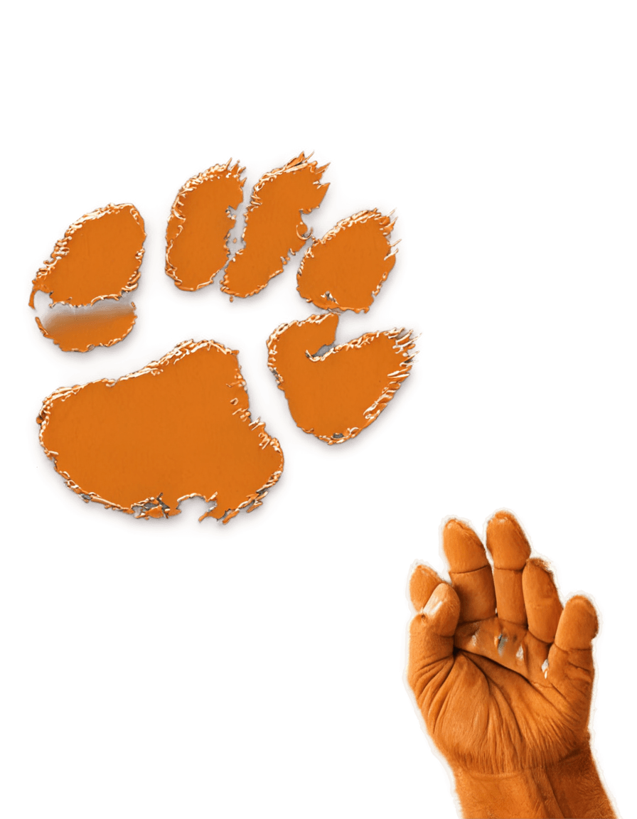 tiger,paw pads,paw art,furry paw,furry paws,cat theme logo