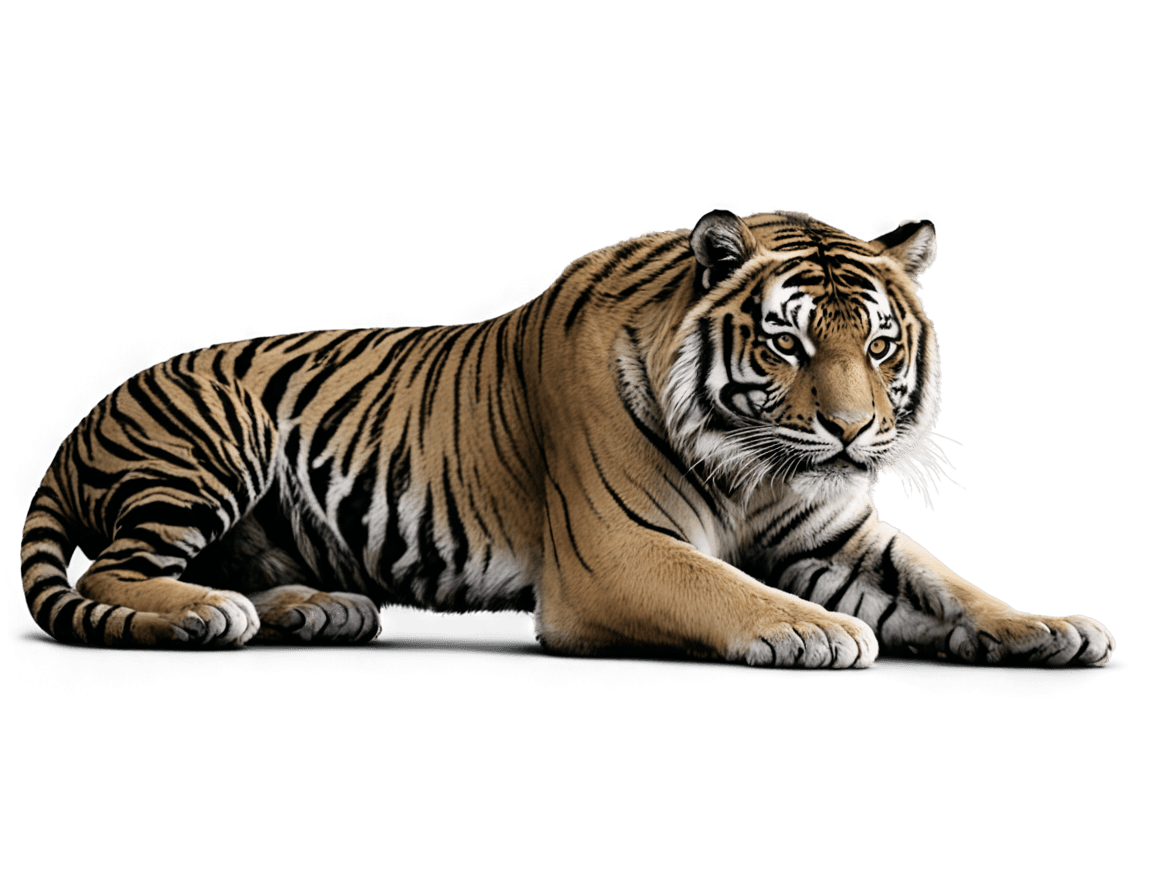 tigre, tigre blanco y negro que se arrastra png vector, piel de tigre, sombreado de imagen suave, medio tigre, renderizado de aerógrafo