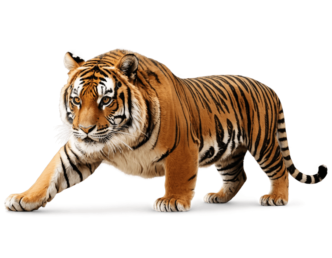 tiger,((tiger)),realistic brown fur,tiger skin,squirrel/tiger,half tiger