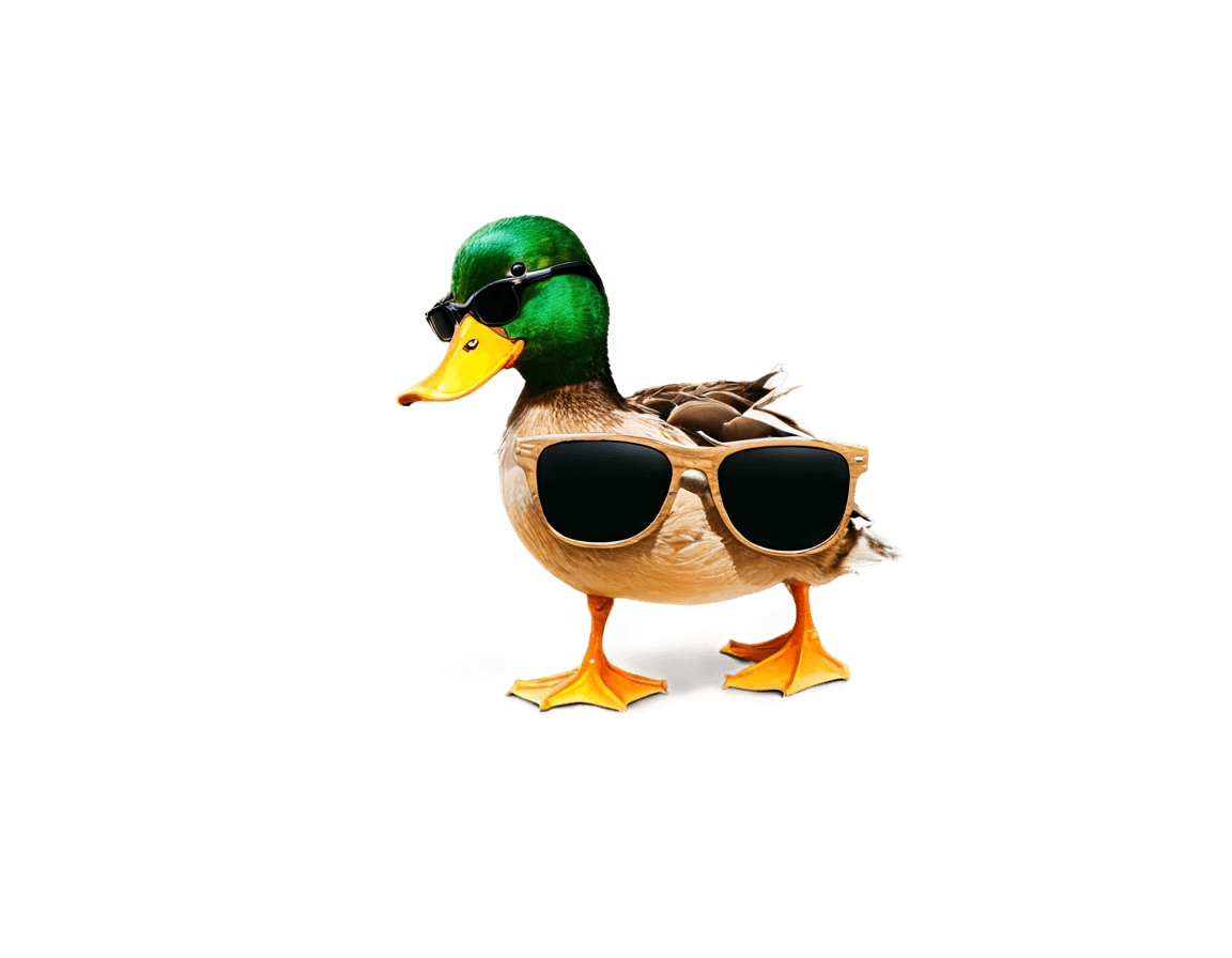 sunglasses,duck,detailed duck,the macho duck,robocop duck,kathy zyduck