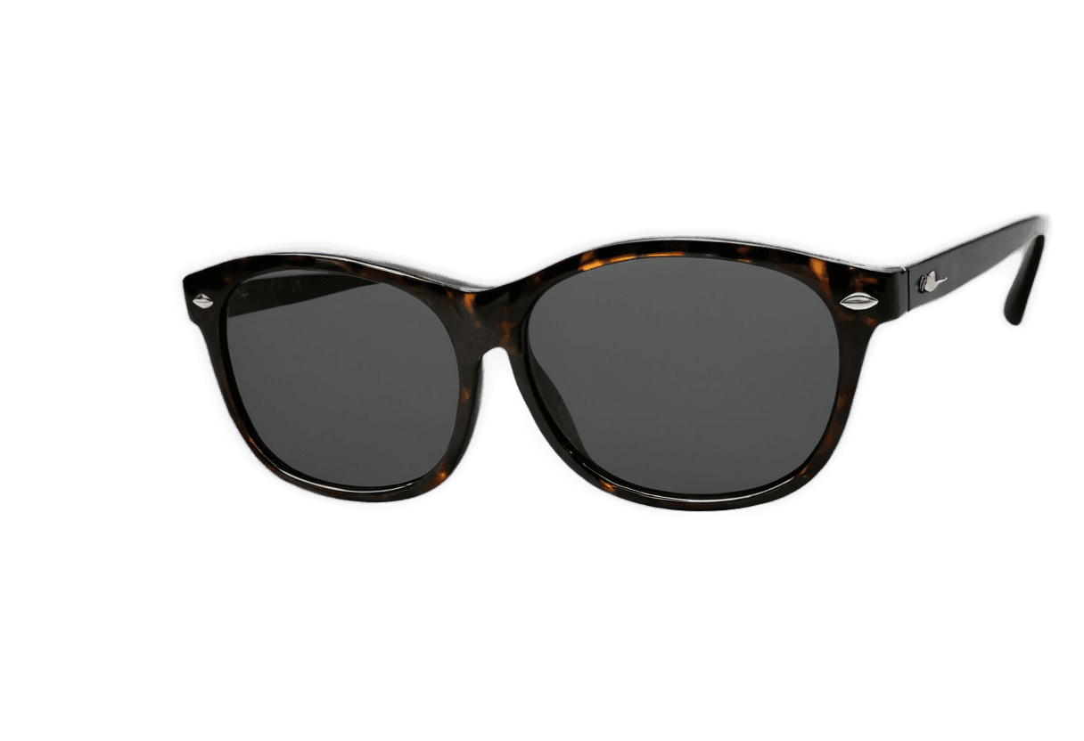 sunglasses,edwin sunglass png,half-frame square glasses,anamorph lenses,rounded eyeglasses