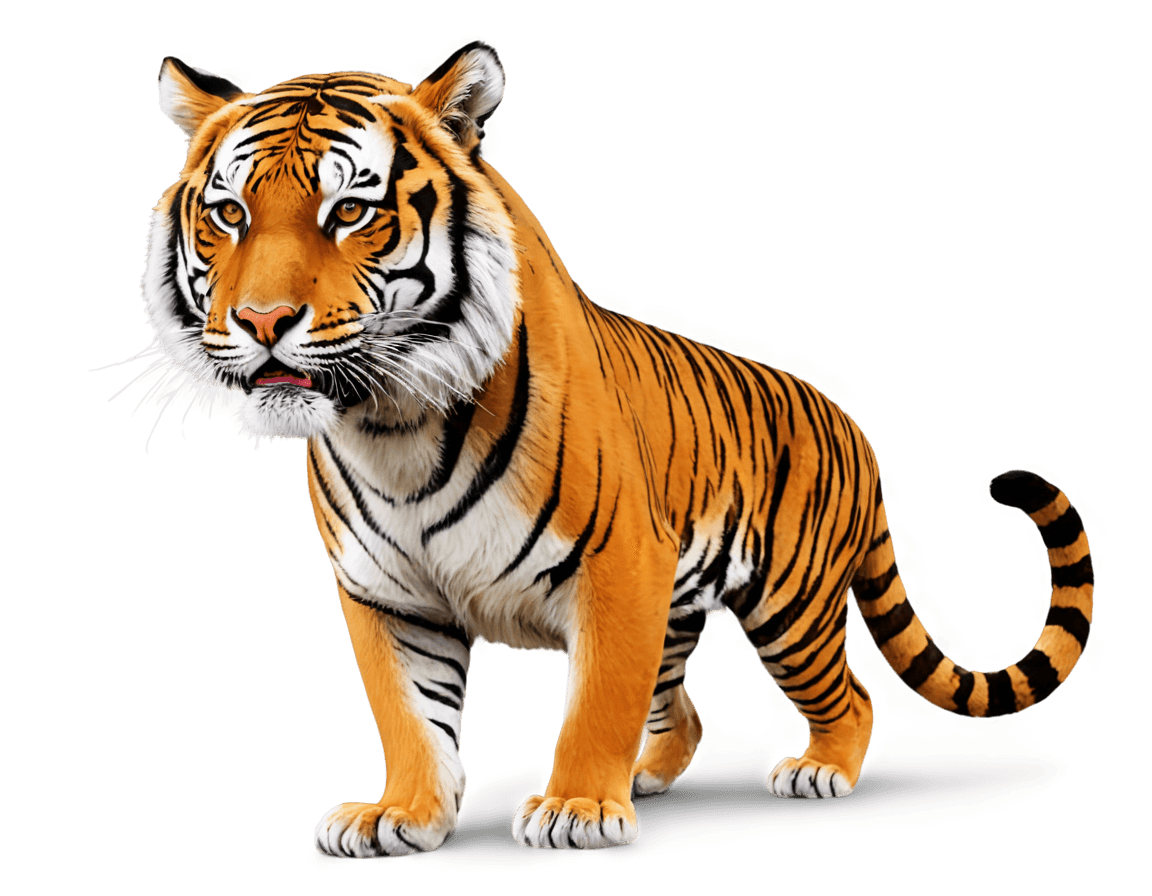 tiger,el tiger png,((tiger)),anthropomorphic tiger,half tiger,cgi animation