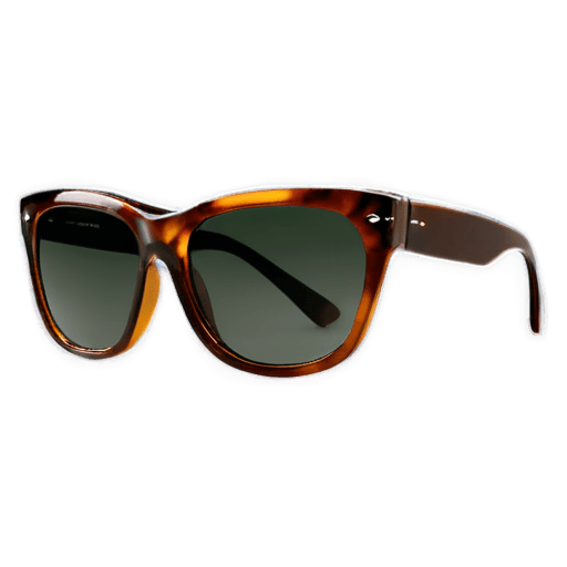 sunglasses,fashion sunglasses png,polarized lens,michael kors,hugo boss prize,tiffany style