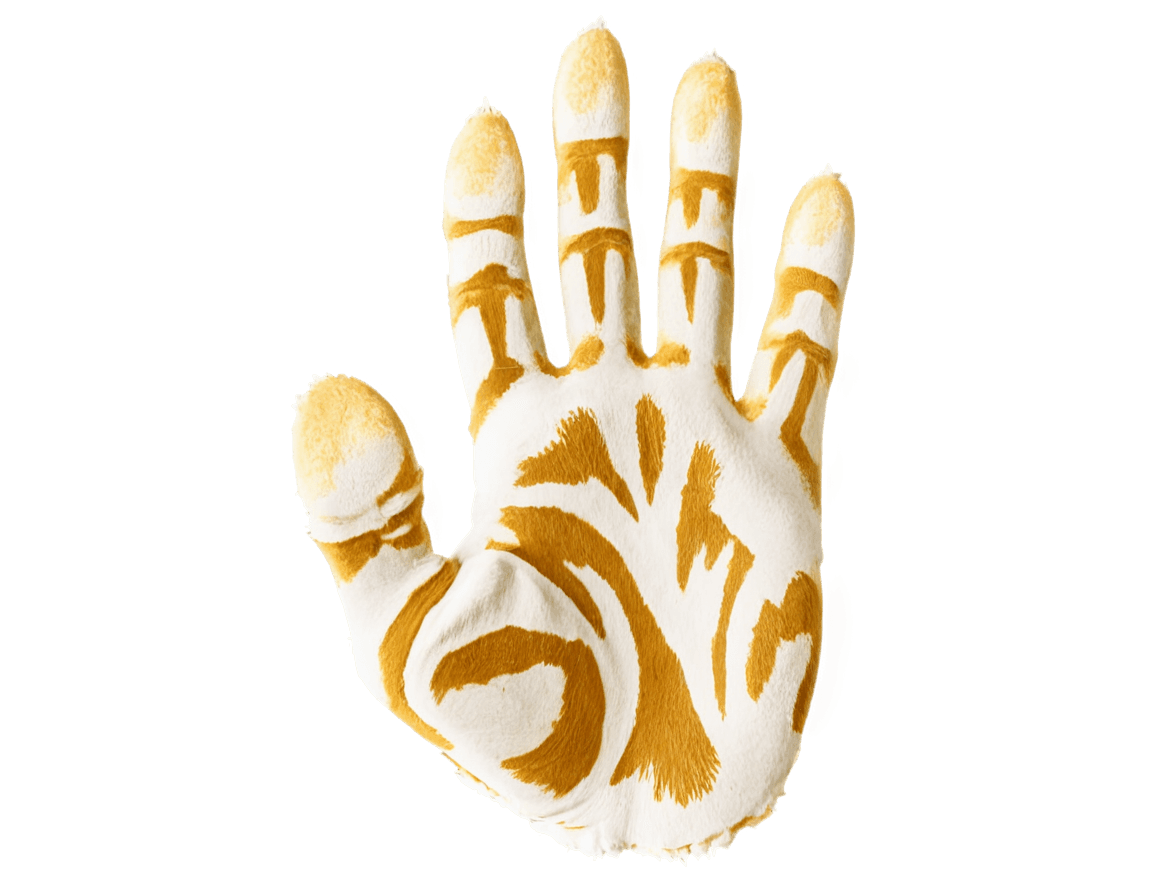 tiger,free tiger paw png,emerging hands,hand photography,gold bodypaint,realistic hand