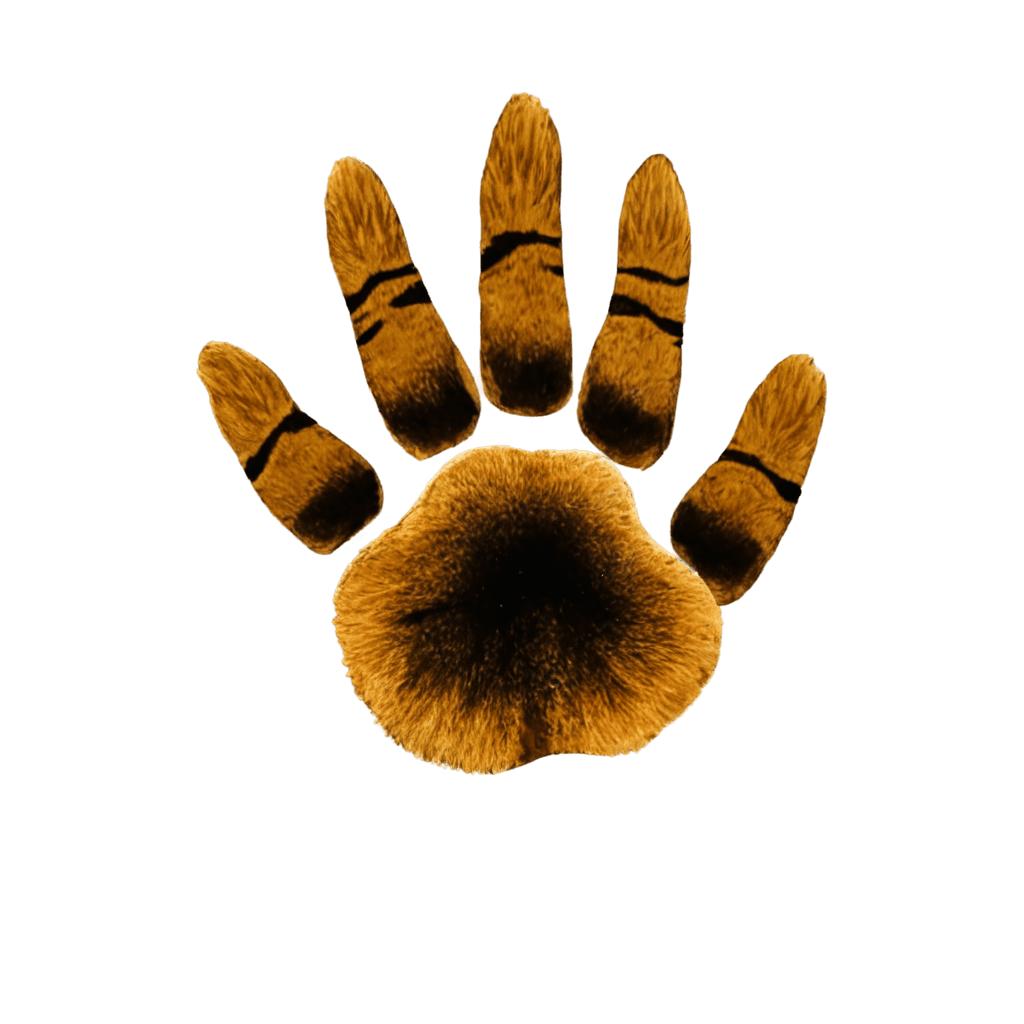 tiger,free tiger paw png,dragon paw art,furry paw,dragon paw,paw pads