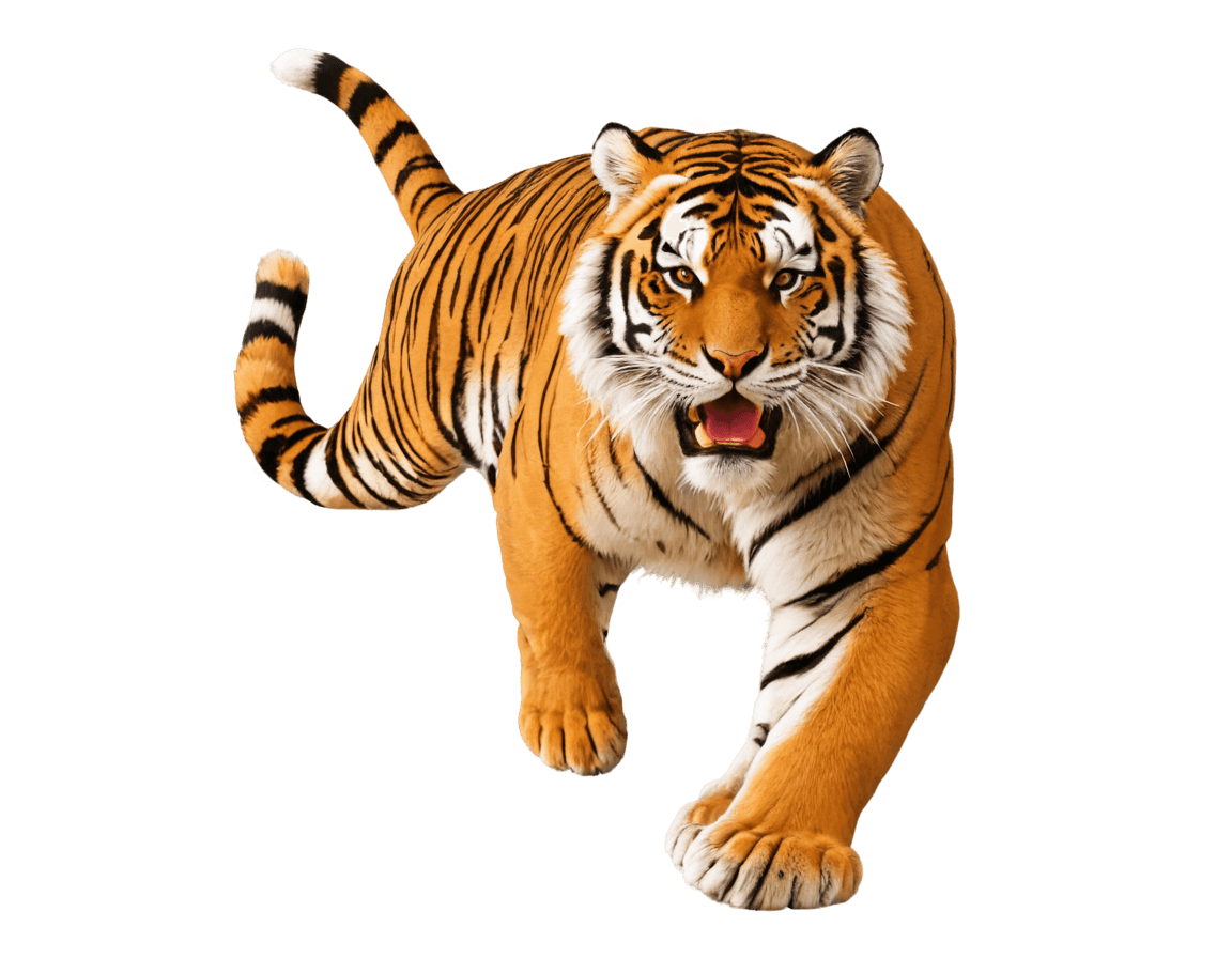 tiger,anthropomorphic tiger,cgi animation,sacred tiger,squirrel/tiger,tigers