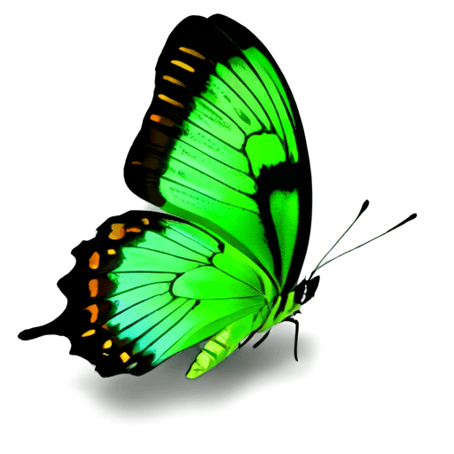 green butterfly png A butterfly with a green wing and orange body