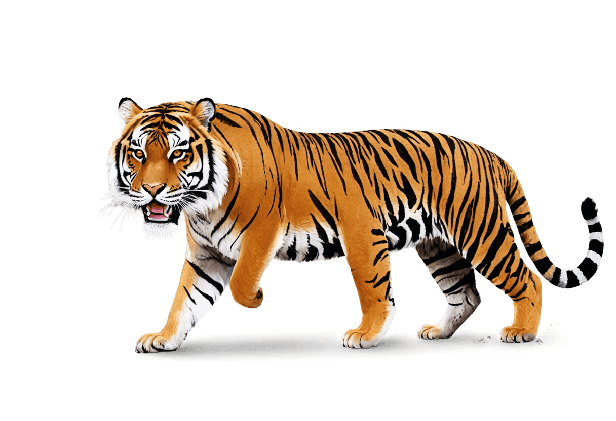 tiger,a tiger,half tiger,tiger skin,tigers