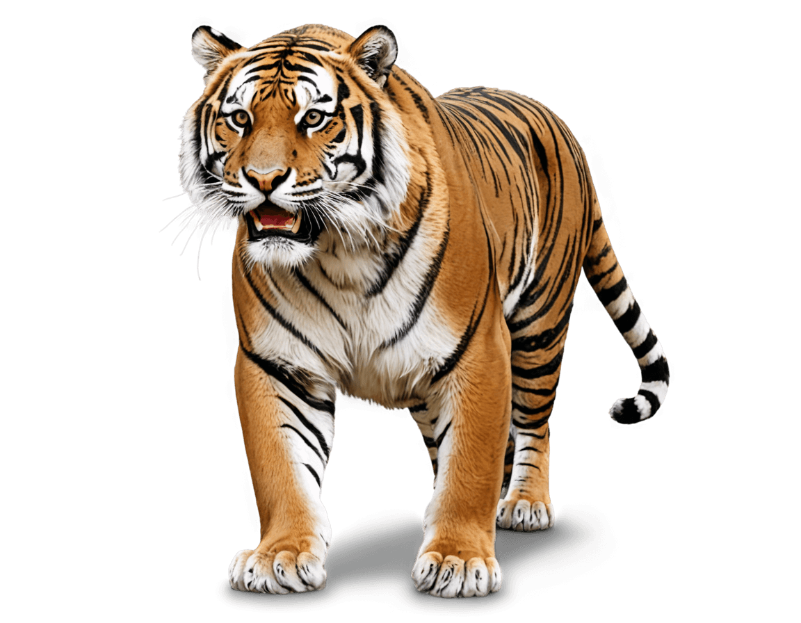 tigre, http www.clipartpal.com, tiger_beast, animal muy detallado, piel de tigre, tigre antropomórfico