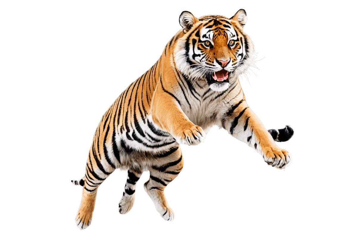 tiger,jumping tiger png,anthropomorphic tiger,squirrel/tiger,half tiger,cosmic tiger