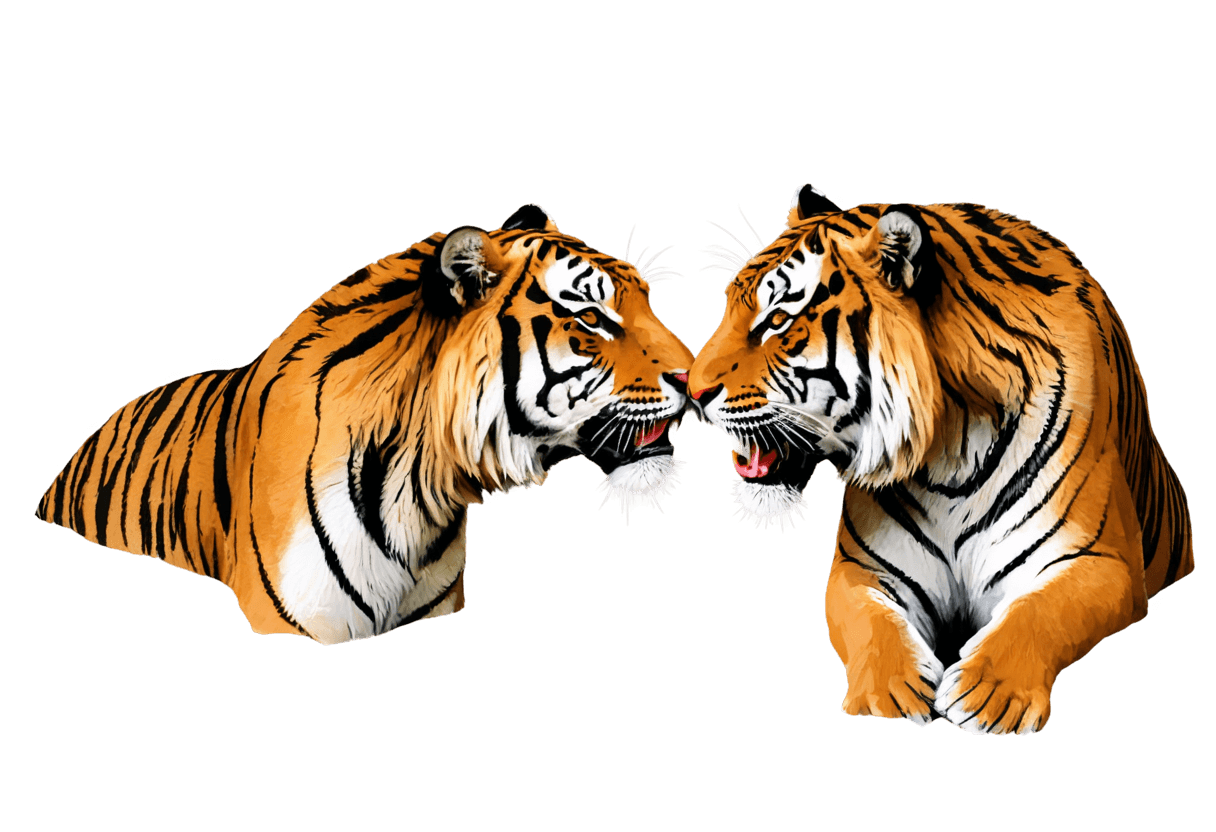 tiger,((tiger)),3 d graphics,3d graphics,3d effect,cute! c4d