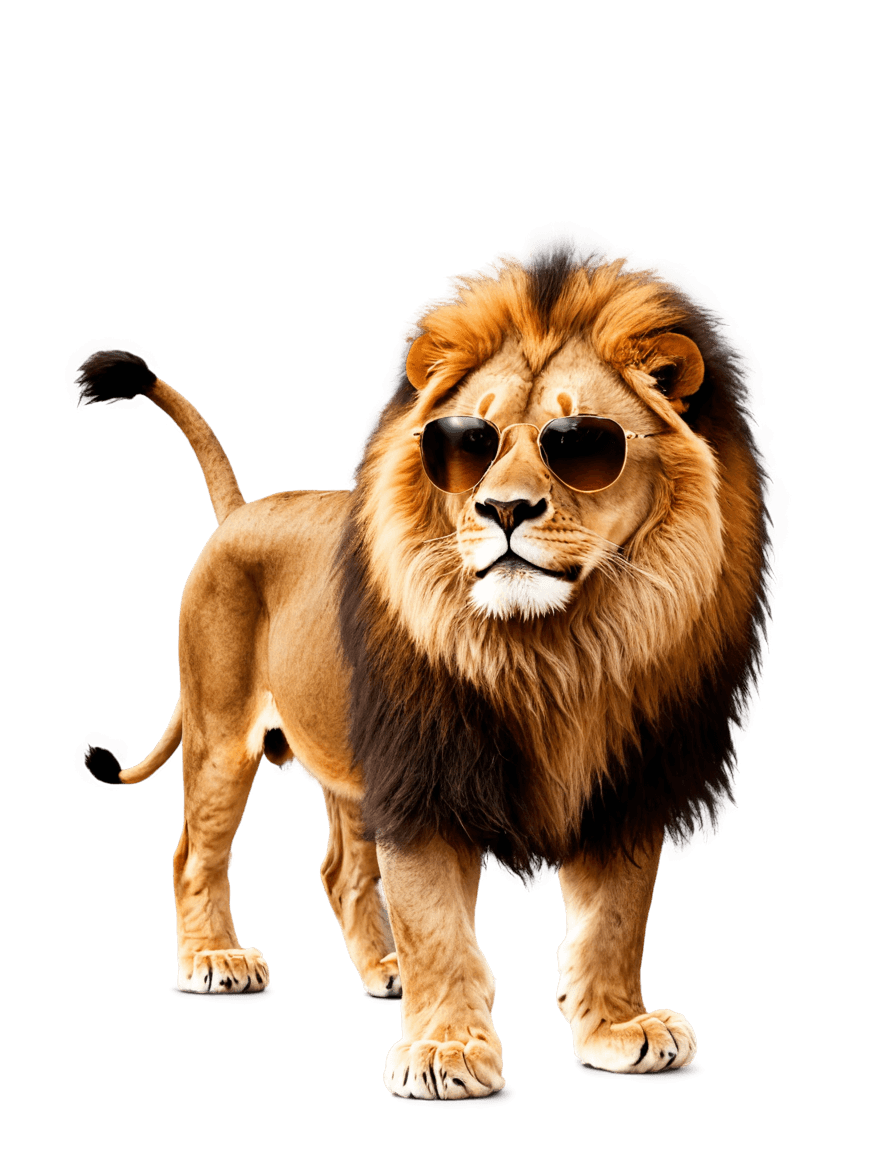 sunglasses,lion wearing sunglasses png,lion icon,lions,designer sunglasses