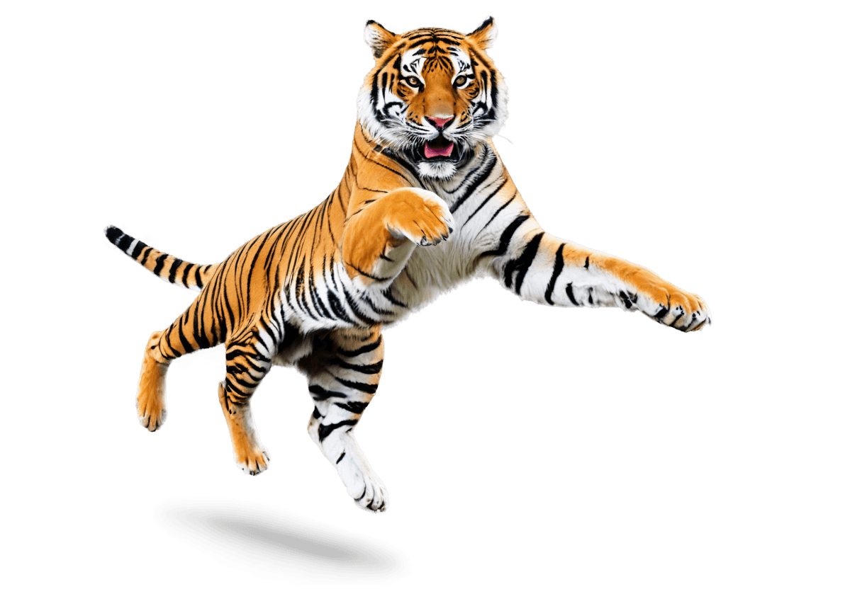 tigre, un tigre, tigre antropomórfico, animación 3d, trazado de rey, tiger_beast