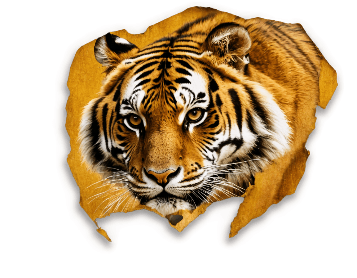 tiger,((tiger)),savana background,tiger pelt,tigers,tiger head