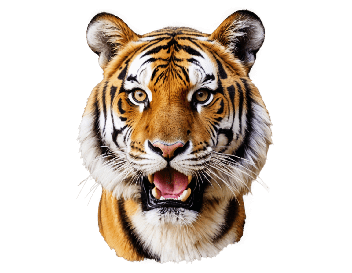 tigre, cara de tigre de lsu png, ((tigre)), un tigre, pintura digital ultradetallada