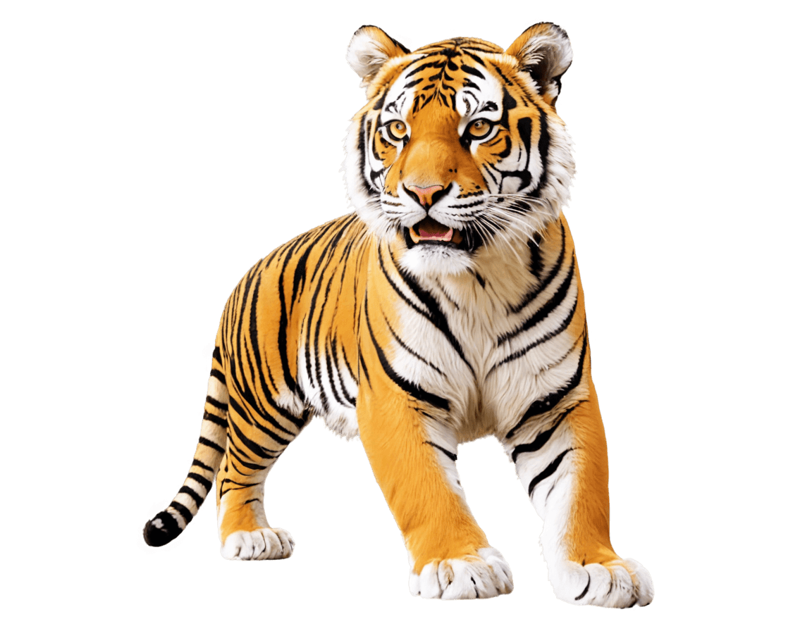 tigre, impresión de tigre de lsu png, ((tigre)), un tigre, tigre sagrado, tiger_beast