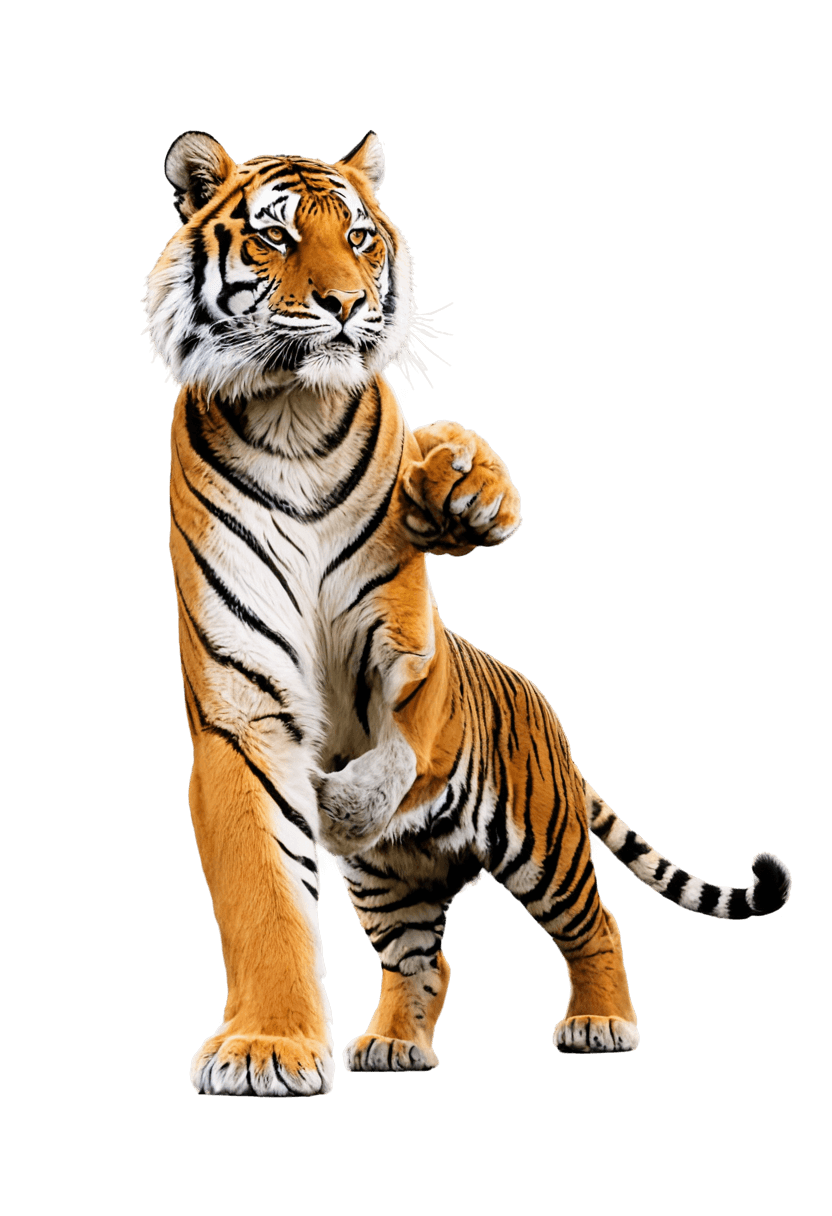 tigre, tigre sagrado, un tigre, tigre antropomórfico, fotorender, tiger_beast