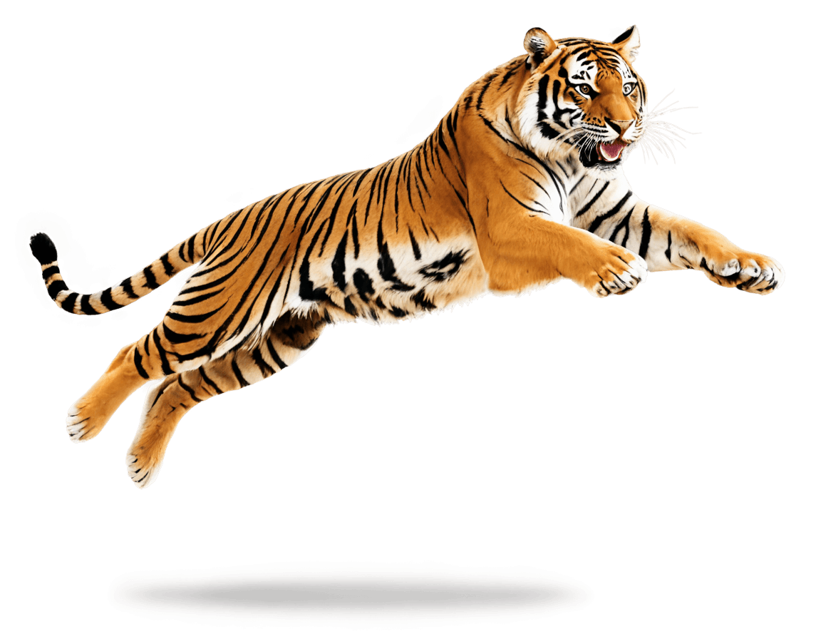 tiger，（（tiger）），a tiger，tiger_beast，airbrush render，behance.抛光