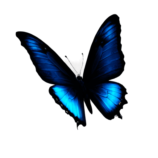 night butterflies png A blue butterfly with black wings