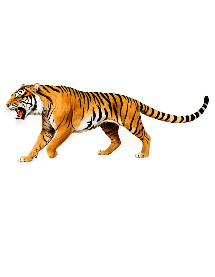 Tigre, P40 Tiger Graphics PNG, ((Tigre)), Tigerman, Piel de tigre, Alfombra de piel de tigre