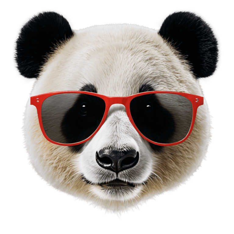 gafas de sol, panda con gafas de sol png, gafas de sol divertidas, con gafas de sol de espejo, icono de contraste, gafas de sol geniales