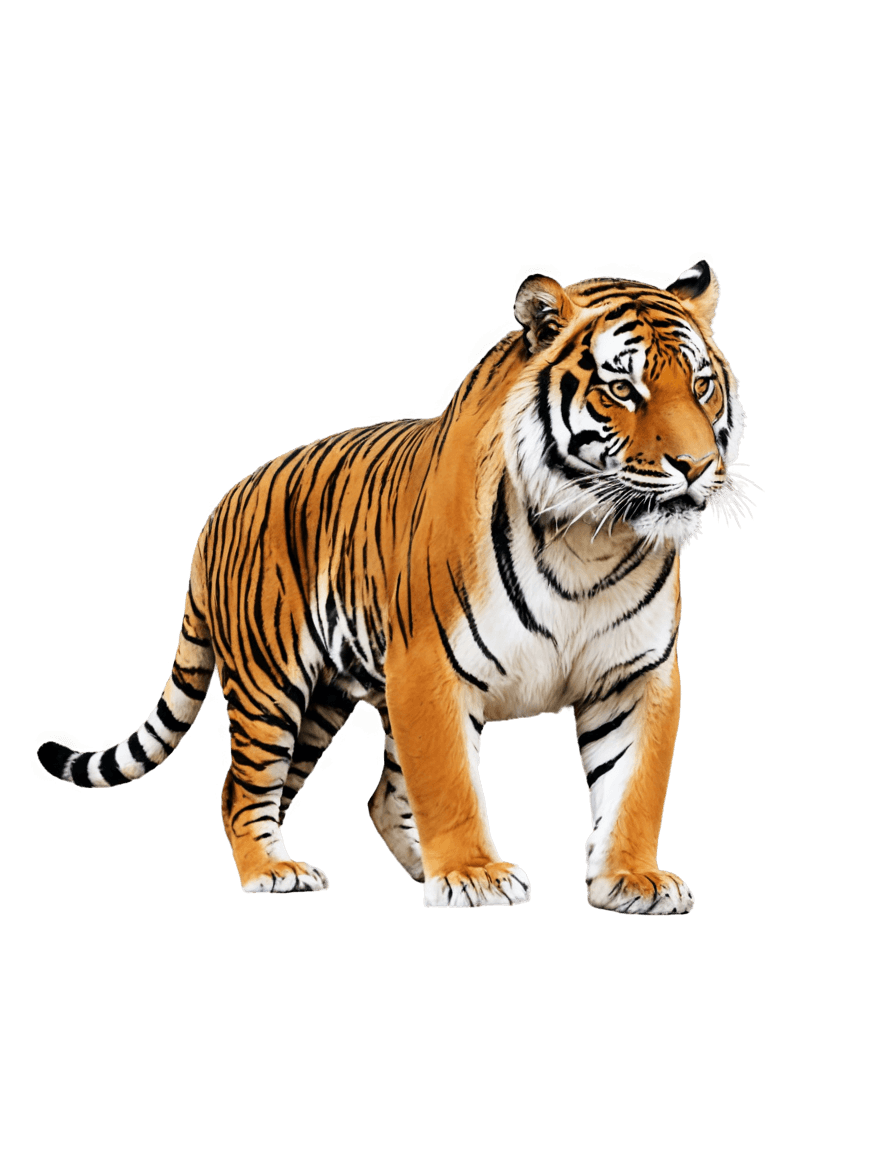 tiger,((tiger)),squirrel/tiger,half tiger,realistic brown fur,sacred tiger