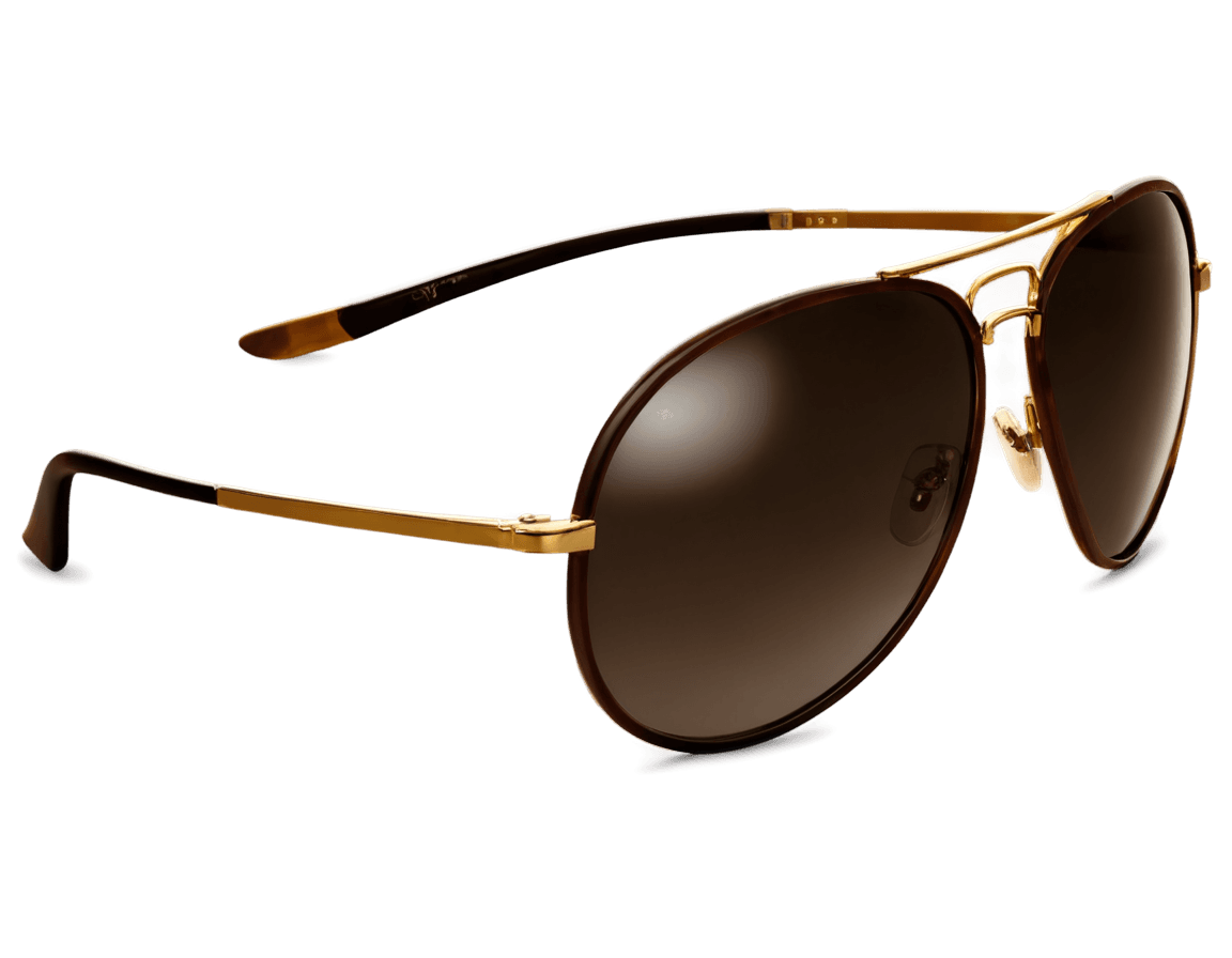 sunglasses,stylish sunglasses png,aviator sunglasses,designer sunglasses,aviators,gold glasses