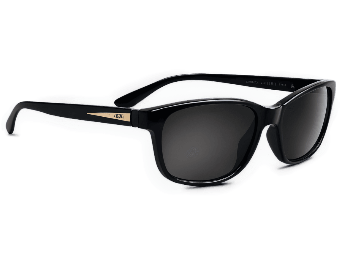 gafas de sol, gafas de sol futurisitc, gafas de sol de escudo, gafas de sol de diseñador, gafas de sol negras, gafas de sol futuristas