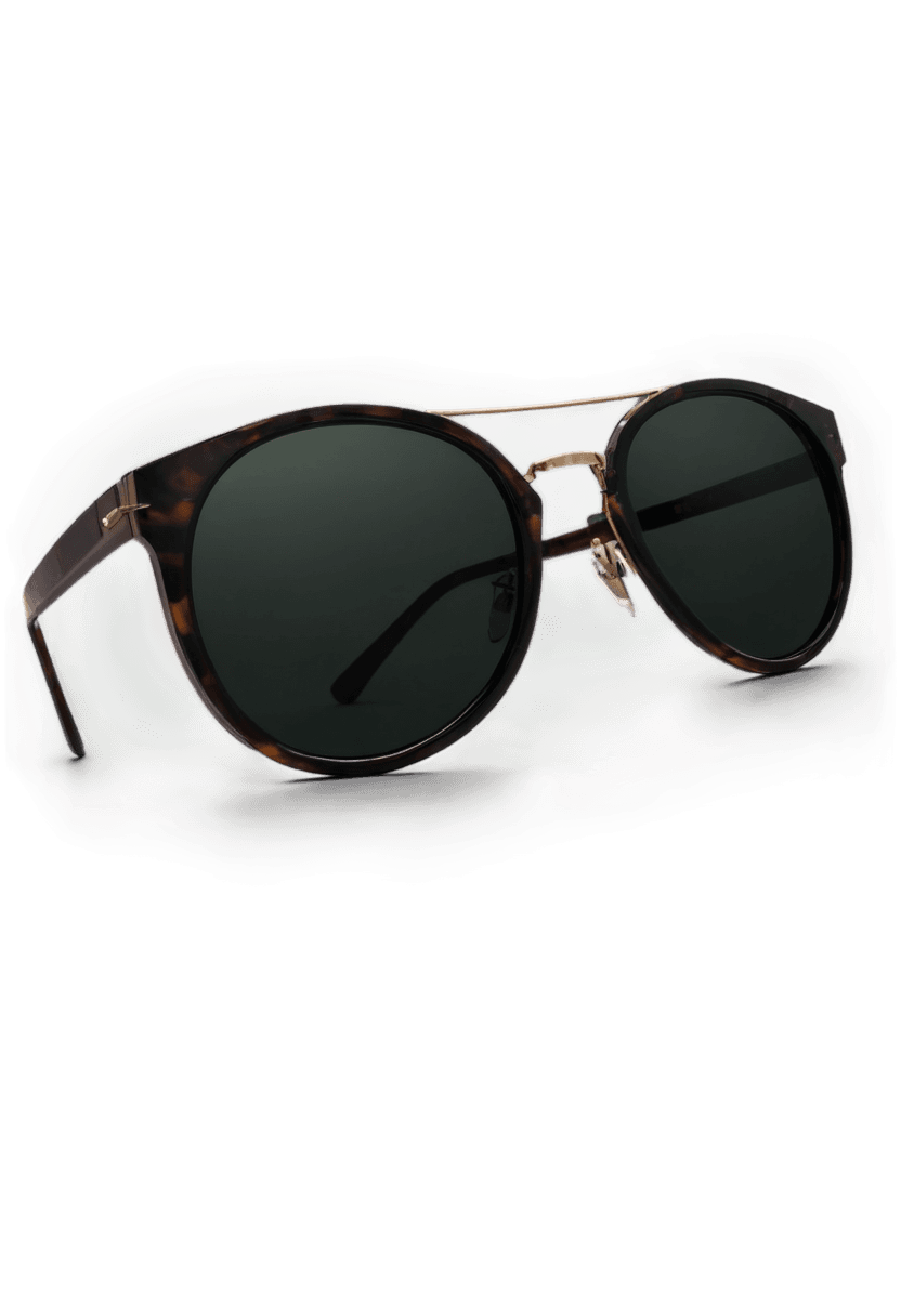 sunglasses,designer sunglasses,futurisitc sunglasses,round sunglasses,half-frame square glasses