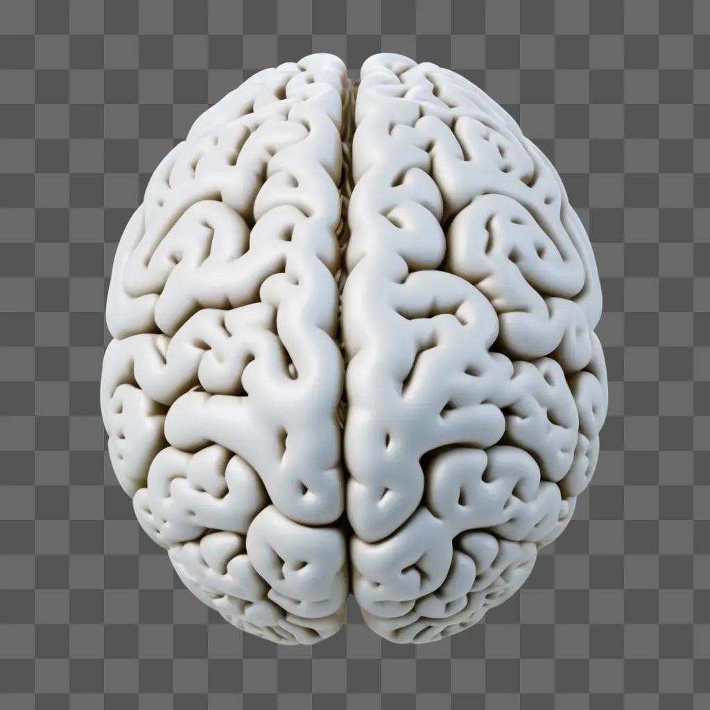 白い背景に3Dレンダリングされたリアルな脳の描画