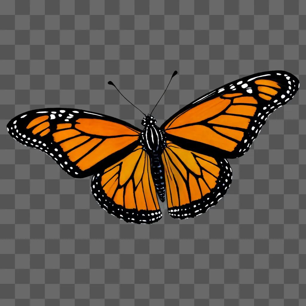 A Monarch Butterfly is a beautiful drawing