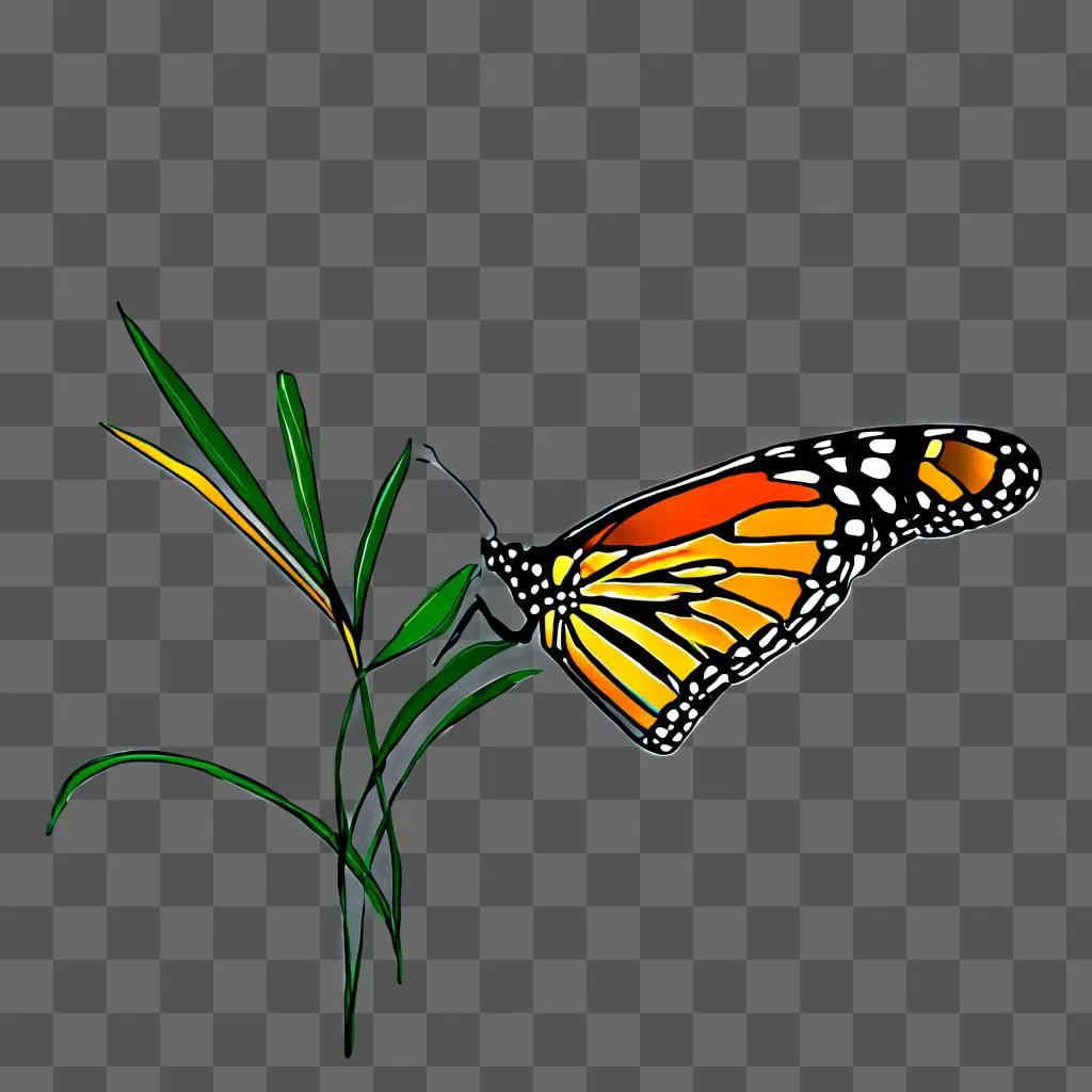 A Monarch butterfly is drawn on a green background