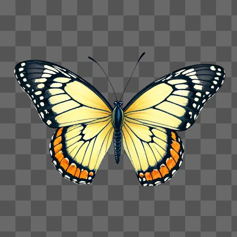 A beautiful butterfly drawing on a green background