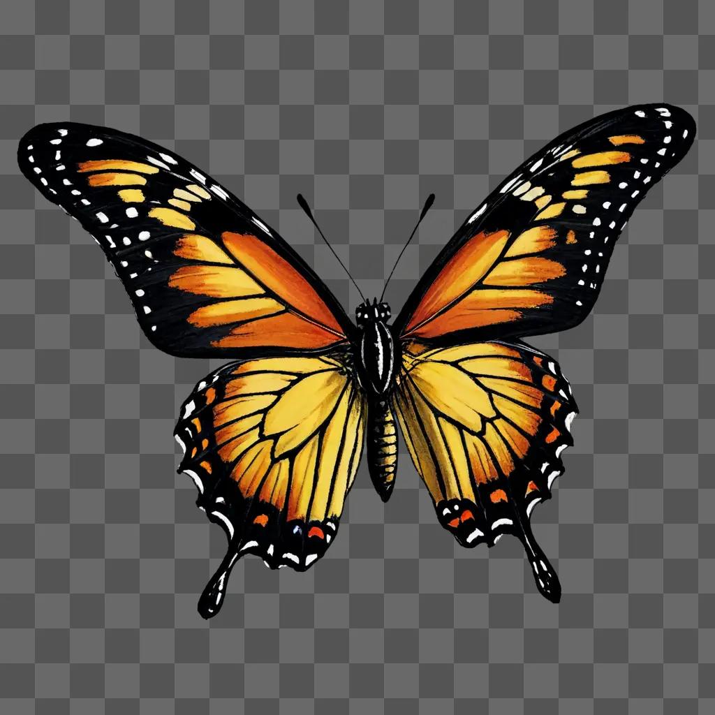 A beautiful butterfly drawing with vibrant colors